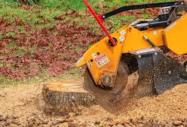Best Firewood Processing and Delivery  in Kelseyville, CA